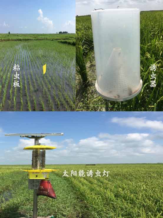 物理、生物防蟲